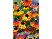 82,9���. �������� ������ ���� ������(�������� ���� �� 2 ��., ����������� ����� 1��.).jpg