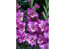 8,45���. ��������� �������� ������(���������� ������ ������ ���������� �� 8 ��.)���17.jpg