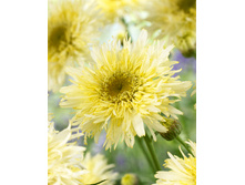 132,6���. ������� ��������(�������� ���� �� 1 ��., ����������� ����� 1��.)���17.jpg