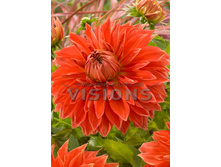 83,5���. �������� �������� �����(�������� ���� �� 1 ��., ����������� ����� 1��.)���16.jpg