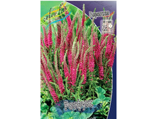 99,5���. �������� �������(�������� ���� �� 1 ��., ����������� ����� 1��.).jpg