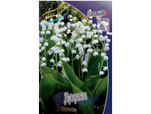 26,83���. ������ �����(�������� ���� �� 3 ��., ����������� ����� 1��.).jpg