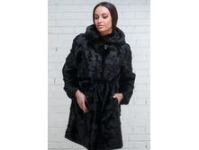 �������� ���� ���� �20