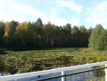 20161002 095303.jpg