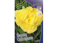 172,1���. �������� ������ ���������(�������� ���� �� 1 ��., ����������� ����� 1��.).jpg