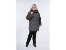 ������� ���� 1.JPG