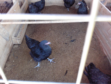 IMG 20161002 121801.jpg