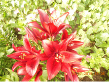 DSCN1537.JPG