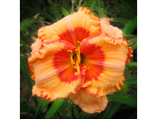 180���. �������� ��������� ���� ��(�������� ���� �� 1 ��., ����������� ����� 1��.)���17.jpg