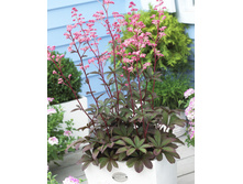 180���. ��������� ����� ����(�������� ���� �� 1 ��., ����������� ����� 1��.).jpg