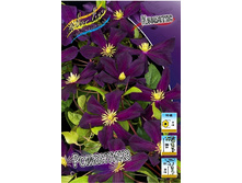 136,6���. �������� ���������(�������� ���� �� 2 ��., ����������� ����� 1��.).jpg