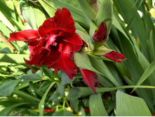 IMG 20160827 133119 HDR.jpg