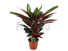 ��������� ���������� 17�60. 334,95 ���.jpg