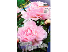 235,3���. ���� ������ ����� �����(�������� ���� �� 1 ��., ����������� ����� 1��.).jpg