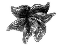 120135, 810 ���.