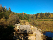 P 20161002 105315.jpg