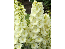 143,7���. ���������� �������(�������� ���� �� 1 ��., ����������� ����� 1��.).jpg