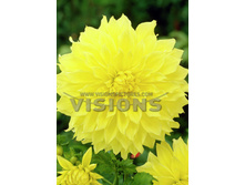 70,7���. �������� ������� ��������(�������� ���� �� 1 ��., ����������� ����� 1��.)���16.jpg