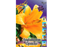 42,5���. ����� ����� ������(��� 5 ��. ���������� �� 2��.).jpg