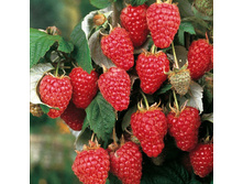 ������ ���������-179.jpg