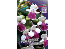 109,75���. ������ ���� ������� ���������(�������� ���� �� 2 ��., ����������� ����� 1��.).jpg