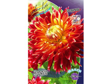 69,9���. �������� �����(�������� ���� �� 1 ��., ����������� ����� 1��.).jpg