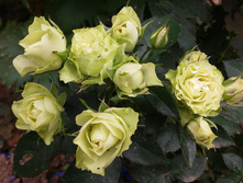 20160709 161905.jpg