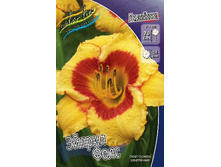 124,7���. �������� ������ ����(�������� ���� �� 1 ��., ����������� ����� 1��.).jpg