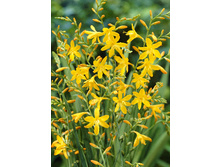 11,21���. ��������� ������ ��������(���������� ������ ������ ���������� �� 10 ��.)���17.jpg