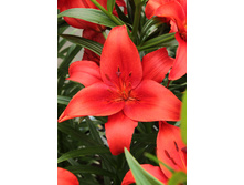 26,46���. ����� ��������(��� 5 ��. ���������� �� 2��.).jpg