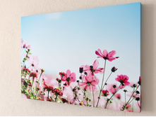 ��������� ���� 1-1.jpg