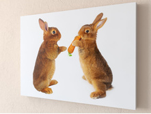 ������� 1-1.jpg