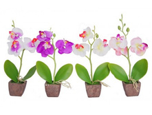 ������ � ����� "�������" �=23�� ������: 7224