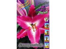 35,74���. ����� �����������(��� 5 ��. ���������� �� 2��.).jpg