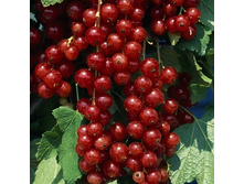 157���. ��������� ������� �����.jpg