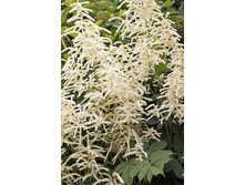 108,9���. �������� ������(�������� ���� �� 1 ��., ����������� ����� 1��.).jpg