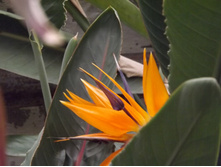 DSCF8165.JPG
