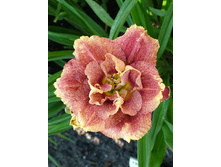 187,9���. �������� ����� �������(�������� ���� �� 1 ��., ����������� ����� 1��.).jpg