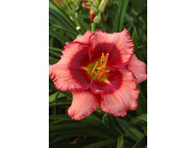 172,1���. �������� ��� ������(�������� ���� �� 1 ��., ����������� ����� 1��.).jpg