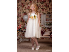 40*36-4    1321 ���.