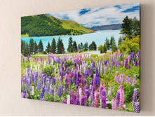 ������ ������� 1-1.jpg