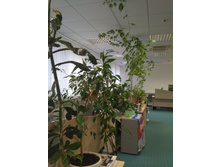 IMG 20161014 103943.jpg