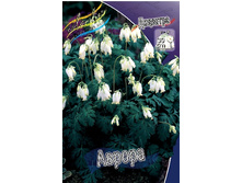 98,7���. �������� ������(�������� ���� �� 2 ��., ����������� ����� 1��.).jpg