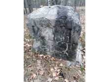 IMG 20161029 120519.jpg