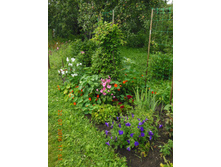 DSCN2130.JPG