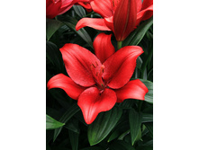 20,09���. ����� ���������(��� 7 ��. ���������� �� 2��.)���17.jpg