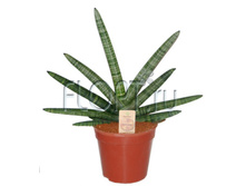 ����������� �������� 12�40. 489,87 ���.jpg