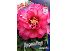 1119,9���. ���� ������ ���� (���)(�������� ���� �� 1 ��., ����������� ����� 1��.).jpg