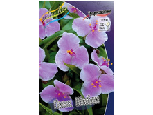 113,7���. ������������ ���� �����(�������� ���� �� 1 ��., ����������� ����� 1��.).jpg