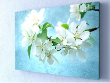 ������ ����� 1-1.jpg